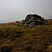 <b>Moel Sych</b>Posted by GLADMAN