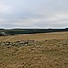 <b>Roughtor North</b>Posted by postman