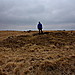 <b>Down Tor</b>Posted by GLADMAN