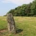 <b>Trefwri Standing Stone (East)</b>Posted by postman