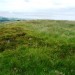<b>Castle Hill (Meams)</b>Posted by drewbhoy