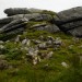 <b>Bearah Tor</b>Posted by thesweetcheat