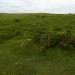 <b>Craddock Moor cairn cemetery</b>Posted by thesweetcheat