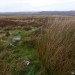 <b>Gibbet Moor and East Moor</b>Posted by thesweetcheat