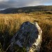 <b>Pont Scethin standing stones</b>Posted by thesweetcheat