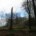 <b>Wentwood Barrows</b>Posted by postman
