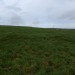 <b>Martin's Down Long Barrow</b>Posted by thesweetcheat
