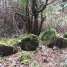 <b>Parkmore Cairn</b>Posted by ryaner