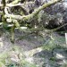 <b>Kempstone Hill Cairn</b>Posted by drewbhoy