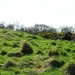 <b>Philla Cairn</b>Posted by drewbhoy