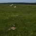 <b>East Moor Ring Cairn</b>Posted by thesweetcheat