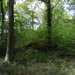 <b>Barrow Copse</b>Posted by thesweetcheat
