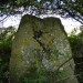 <b>Down Barn standing stones</b>Posted by thesweetcheat