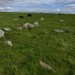 <b>Pickledean Stone Circle</b>Posted by thesweetcheat
