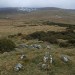 <b>Cefn Penagored Ridge</b>Posted by postman