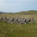 <b>Bryn Cader Faner</b>Posted by costaexpress