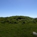 <b>Caradon Hill (northern group)</b>Posted by thesweetcheat