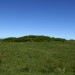 <b>Caradon Hill (northern group)</b>Posted by thesweetcheat