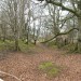 <b>Castle Ring (Old Radnor)</b>Posted by postman