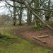 <b>Castle Ring (Old Radnor)</b>Posted by postman