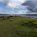 <b>Godrevy Barrow</b>Posted by thesweetcheat