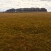 <b>Curragh (Kildare ED)</b>Posted by ryaner
