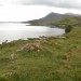 <b>Ardvreck</b>Posted by markj99