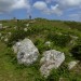 <b>Chapel Carn Brea long cairn</b>Posted by thesweetcheat