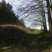 <b>Woodbury Hill (Great Witley)</b>Posted by thesweetcheat