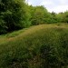 <b>Jackets Field</b>Posted by GLADMAN