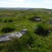 <b>Catshole Tor Cairn</b>Posted by thesweetcheat