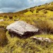 <b>Carrowmore or Glentogher (Dg. 24)</b>Posted by ryaner