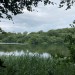<b>White Loch of Myrton</b>Posted by markj99