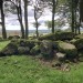 <b>Cairn Wood (Barskeoch)</b>Posted by markj99