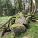 <b>Cairn Wood (Barskeoch)</b>Posted by markj99