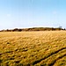 <b>Figsbury Ring</b>Posted by jimit