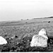 <b>Ackland's Moor Cairn Stones</b>Posted by pure joy
