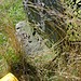 <b>Earlston Standing Stone</b>Posted by Martin
