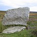 <b>Traverse Moor Stone</b>Posted by fitzcoraldo