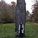 <b>The Fish Stone</b>Posted by elderford