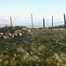 <b>Parlick Pike Cairn</b>Posted by treehugger-uk