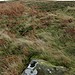 <b>Lucker Moor</b>Posted by rockandy