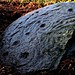 <b>The Peace Stone</b>Posted by greywether