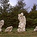 <b>The Rollright Stones</b>Posted by RoyReed