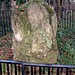 <b>Tooting Bec Common Stone</b>Posted by baza