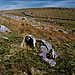 <b>Down Tor South</b>Posted by Lubin