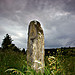<b>Fenagh Standing Stone</b>Posted by CianMcLiam