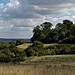 <b>Wittenham Clumps and Castle Hill</b>Posted by jamesd