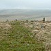 <b>Stall Moor Stone Circle</b>Posted by Mr Hamhead