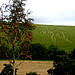 <b>Cerne Abbas Giant</b>Posted by Zeb